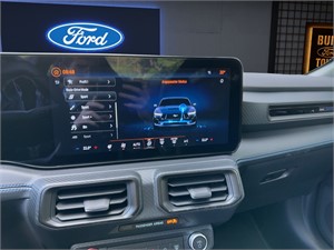 Ford Mustang 5.0 V8 Dark Horse